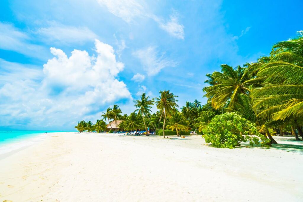 Najpiękniejsze plaże Zanzibaru – Nungwi, Kendwa, Paje